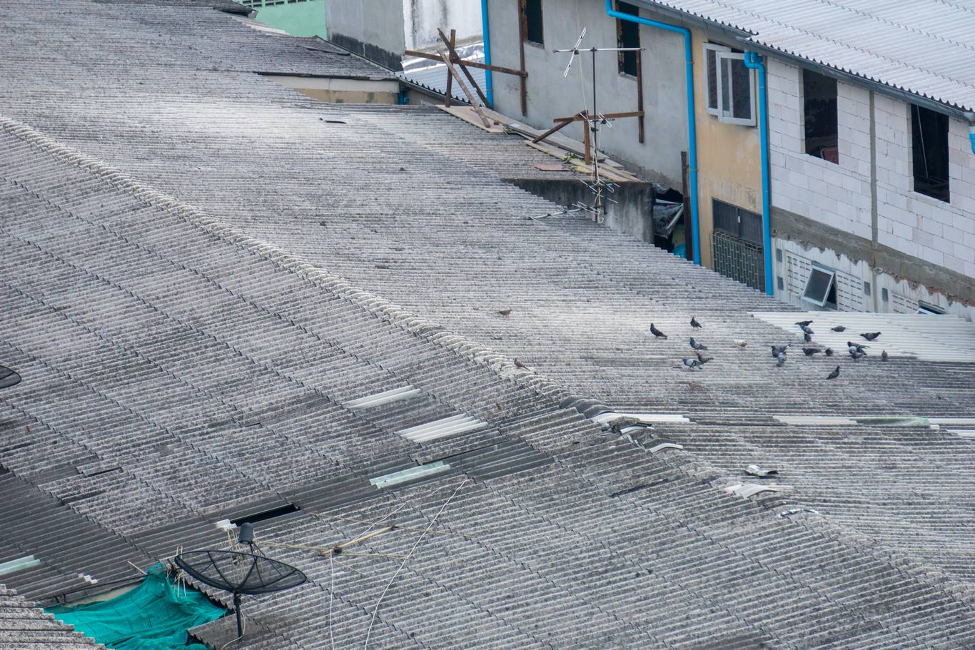 Analyse du site avant dépigeonnage Hexarat