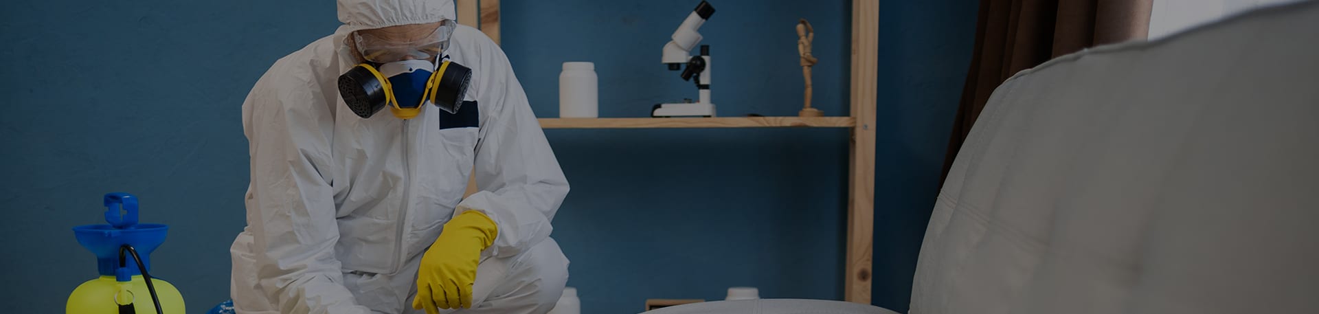 Expert en désinsectisation à Caen
