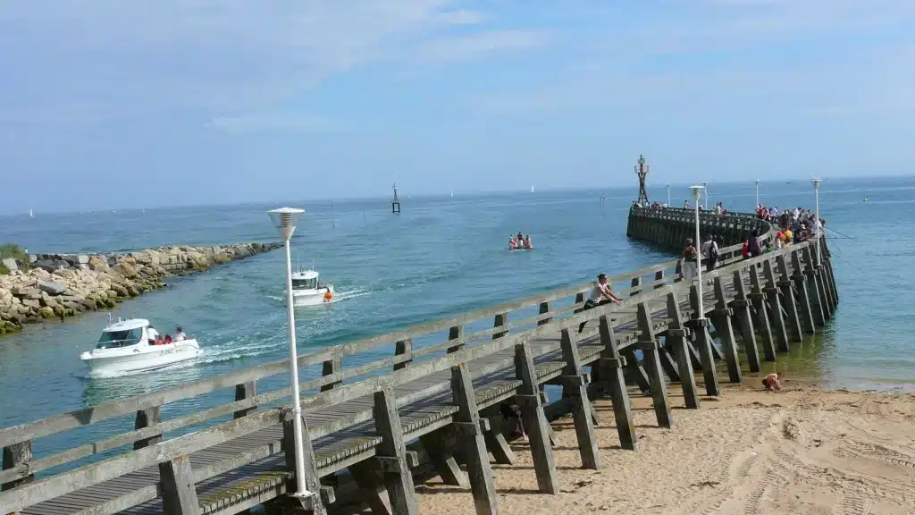Dératisation rats et souris à Courseulles-sur-Mer dans le Calvados - Hexarat