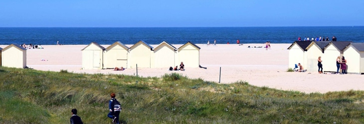 Dératisation rats et souris à Ouistreham sur la Côte de Nacre - Hexarat