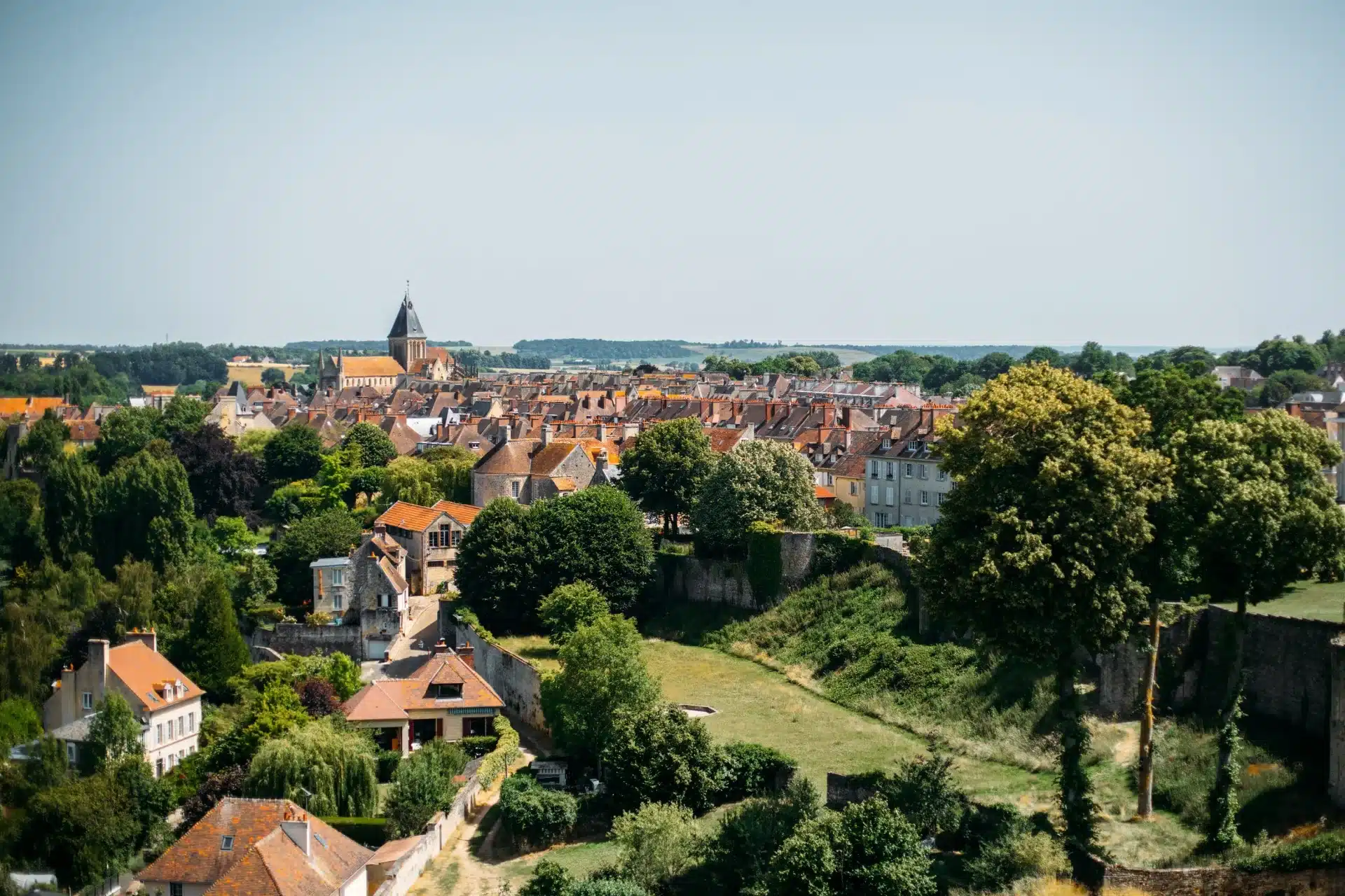 Dératisation rats et souris à Falaise dans le Calvados - Hexarat